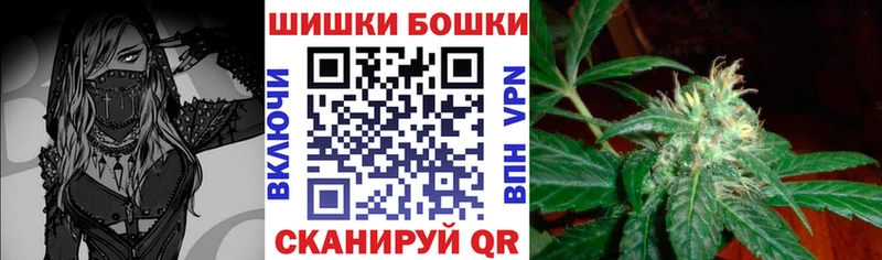как найти   Чернушка  Шишки марихуана Amnesia 